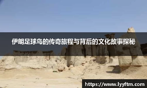 伊朗足球鸟的传奇旅程与背后的文化故事探秘